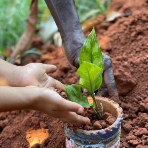 nature-learning-dar-tanzania-nordic-education